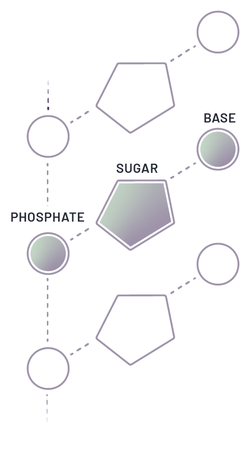 3 Elements of RNA-Targeted Medicines